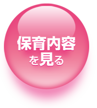 保育内容を見る
